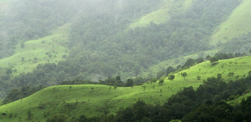 ‘ಕಪ್ಪತಗುಡ್ಡ’ ಮೀಸಲು ಅರಣ್ಯ ಪ್ರದೇಶ: ಶೀಘ್ರವೇ ಅಧಿಸೂಚನೆ ಪ್ರಕಟ